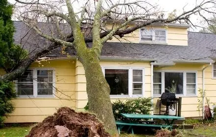 emergency services after a tree falls on house