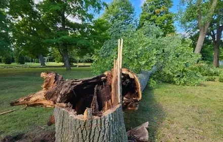 tree debris cleanup Sainte Marie Among the Hurons in Midland